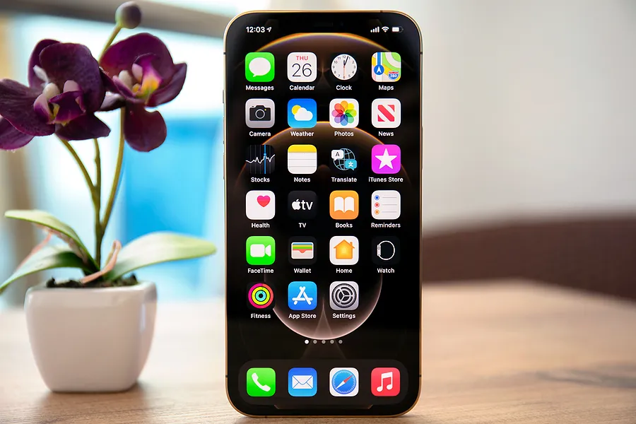 Un iPhone junto a una flor