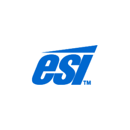 Logotipo de E&S International Enterprises (ESI)